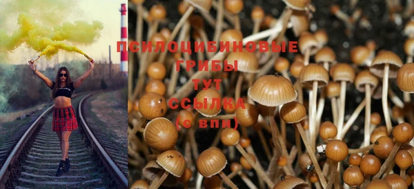мдпв Тутаев