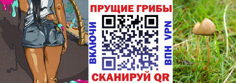 Псилоцибиновые грибы GOLDEN TEACHER  shop телеграм  Рязань 